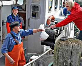 Fischverkauf Fischverkauf